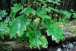 028_2008-0919-1520-44.jpg